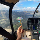 Rosa Galaxy Valentine